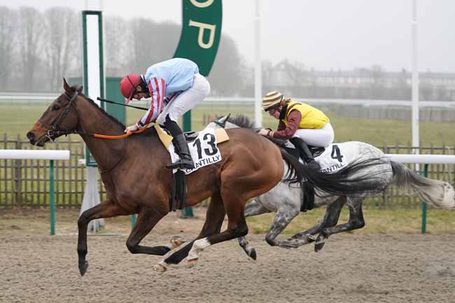 Photo d'arrivée de la course pmu PRIX DE LA ROUTE DE LA JUSTICE à CHANTILLY le Vendredi 24 janvier 2020