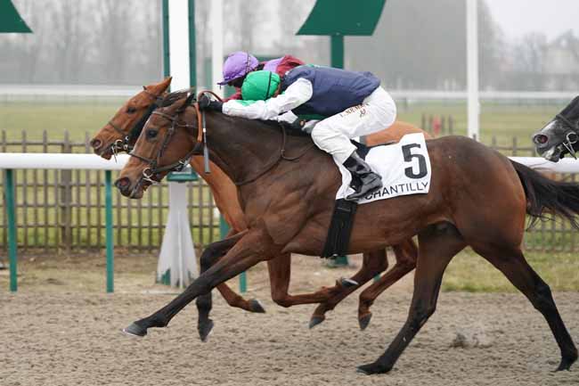 Photo d'arrivée de la course pmu PRIX DU MOULIN DES PLANCHES à CHANTILLY le Vendredi 24 janvier 2020