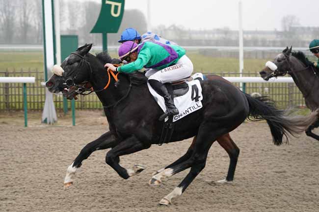 Photo d'arrivée de la course pmu PRIX DU CHEMIN DE HALLAGE à CHANTILLY le Vendredi 24 janvier 2020