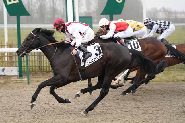 Photo d'arrivée de la course pmu PRIX ARTUS à CHANTILLY le Vendredi 24 janvier 2020