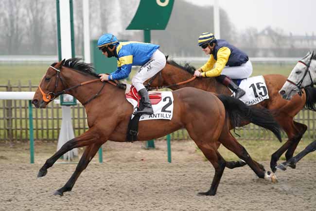 Photo d'arrivée de la course pmu PRIX DE NOISY-SUR-OISE à CHANTILLY le Vendredi 24 janvier 2020