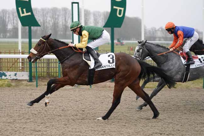 Photo d'arrivée de la course pmu PRIX DU CHEMIN DU BAC à CHANTILLY le Vendredi 24 janvier 2020