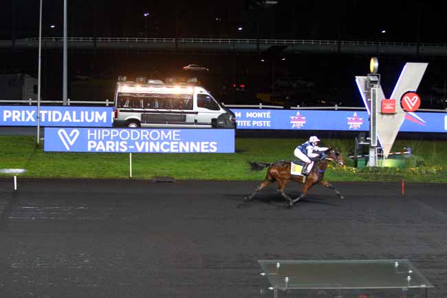 Photo d'arrivée de la course pmu PRIX TIDALIUM PELO à PARIS-VINCENNES le Dimanche 26 janvier 2020