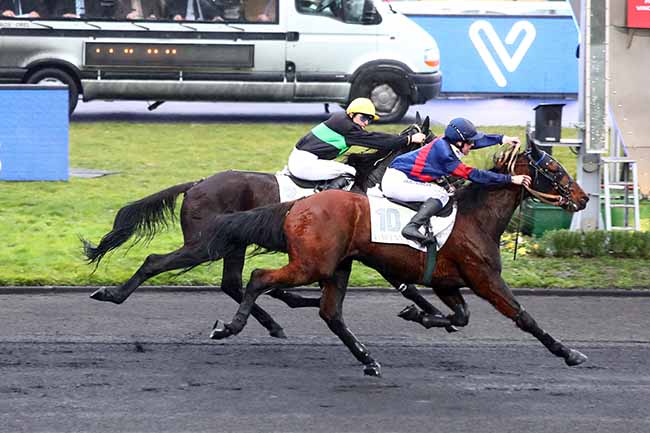 Photo d'arrivée de la course pmu PRIX DE PUY-GUILLAUME à PARIS-VINCENNES le Lundi 27 janvier 2020