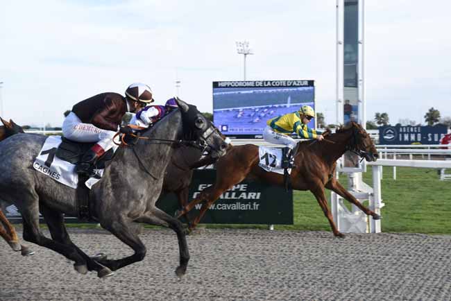 Photo d'arrivée de la course pmu PRIX DE VINTIMILLE à CAGNES-SUR-MER le Mercredi 29 janvier 2020