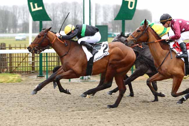 Photo d'arrivée de la course pmu PRIX DU CARREFOUR DES CHARMES à CHANTILLY le Jeudi 30 janvier 2020