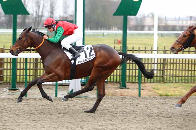 Photo d'arrivée de la course pmu PRIX DE LA MARE DU MONT ALTA à CHANTILLY le Jeudi 30 janvier 2020