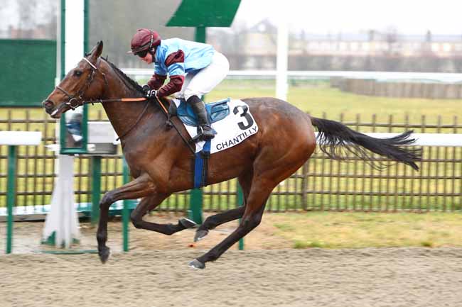 Photo d'arrivée de la course pmu PRIX DE LA ROUTE DES FERMETTES à CHANTILLY le Jeudi 30 janvier 2020