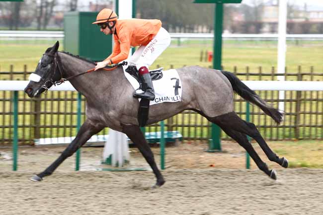 Photo d'arrivée de la course pmu PRIX DES TROIS CLAIRIERES à CHANTILLY le Jeudi 30 janvier 2020