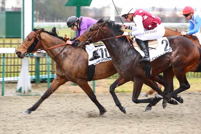 Photo d'arrivée de la course pmu PRIX DE PRESLES à CHANTILLY le Jeudi 30 janvier 2020