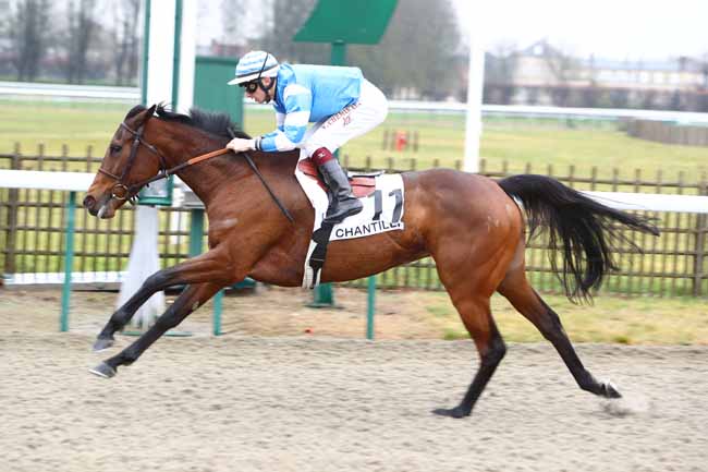 Photo d'arrivée de la course pmu PRIX DE LA MARE MADAME à CHANTILLY le Jeudi 30 janvier 2020