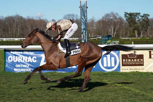 Photo d'arrivée de la course pmu PRIX CAMILLE DUBOSCQ à PAU le Vendredi 31 janvier 2020