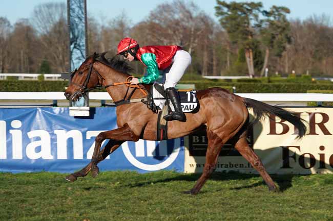Photo d'arrivée de la course pmu PRIX DE LA CROIX DU PRINCE à PAU le Vendredi 31 janvier 2020