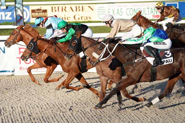 Photo d'arrivée de la course pmu PRIX D'UZEIN à PAU le Vendredi 31 janvier 2020