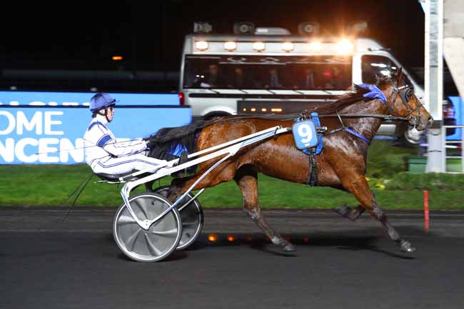 Photo d'arrivée de la course pmu PRIX DE POUILLAC à PARIS-VINCENNES le Samedi 1 février 2020