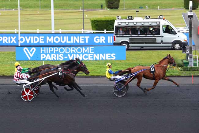 Photo d'arrivée de la course pmu PRIX OVIDE MOULINET à PARIS-VINCENNES le Dimanche 2 février 2020
