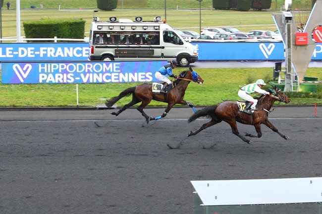 Photo d'arrivée de la course pmu PRIX DE L'ILE-DE-FRANCE à PARIS-VINCENNES le Dimanche 2 février 2020