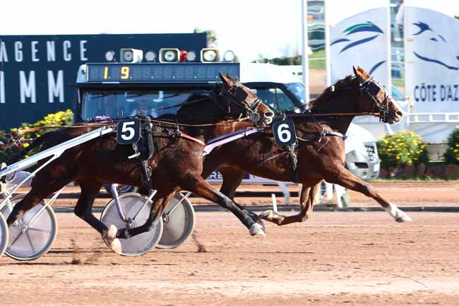 Photo d'arrivée de la course pmu PRIX DES ROSES à CAGNES-SUR-MER le Mardi 4 février 2020