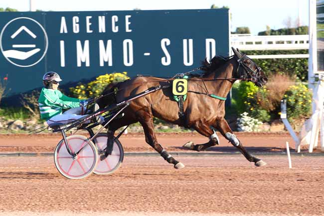 Photo d'arrivée de la course pmu PRIX DES ANEMONES à CAGNES-SUR-MER le Mardi 4 février 2020