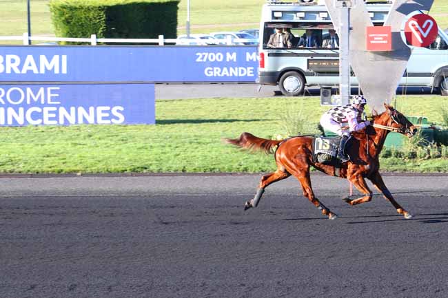 Photo d'arrivée de la course pmu PRIX GERARD BRAMI à PARIS-VINCENNES le Jeudi 6 février 2020