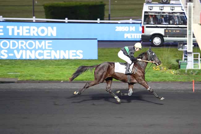 Photo d'arrivée de la course pmu PRIX ANDRE THERON à PARIS-VINCENNES le Jeudi 6 février 2020