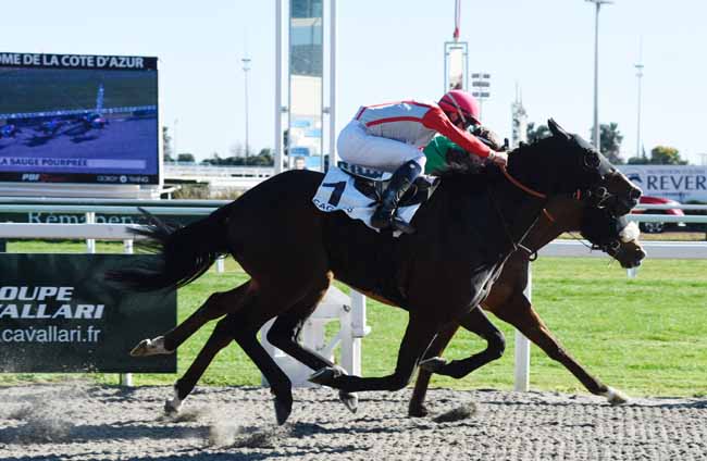 Photo d'arrivée de la course pmu PRIX DE LA SAUGE POURPREE à CAGNES-SUR-MER le Vendredi 7 février 2020