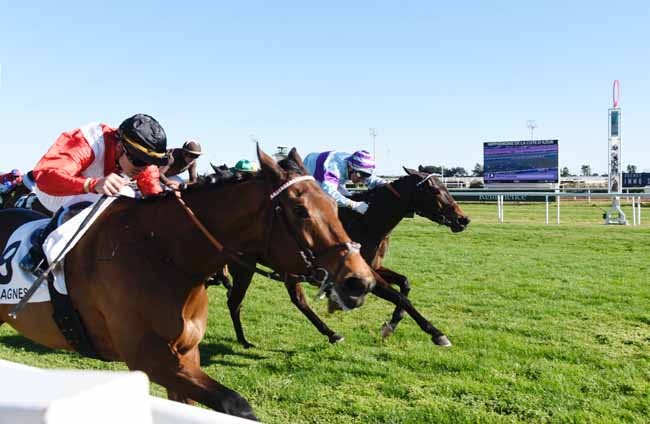 Photo d'arrivée de la course pmu PRIX DE GRASSE à CAGNES-SUR-MER le Vendredi 7 février 2020