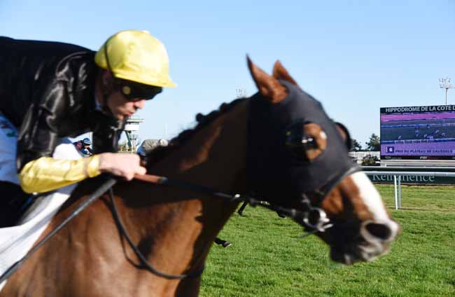 Photo d'arrivée de la course pmu PRIX DU PLATEAU DE CAUSSOLS à CAGNES-SUR-MER le Vendredi 7 février 2020