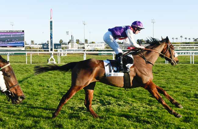 Photo d'arrivée de la course pmu PRIX DE VENCE à CAGNES-SUR-MER le Vendredi 7 février 2020