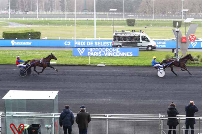Photo d'arrivée de la course pmu PRIX DE SELESTAT à PARIS-VINCENNES le Mardi 11 février 2020