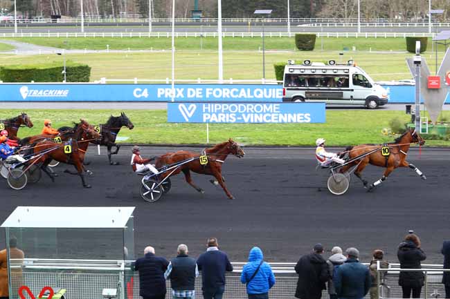 Photo d'arrivée de la course pmu PRIX DE FORCALQUIER à PARIS-VINCENNES le Mardi 11 février 2020