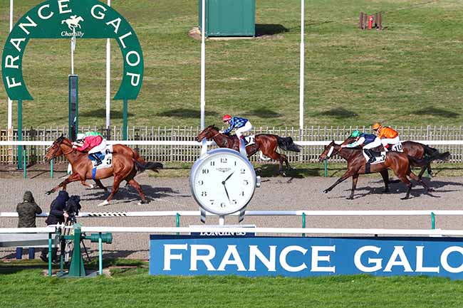 Photo d'arrivée de la course pmu PRIX DU BOIS DE PRECY à CHANTILLY le Mardi 11 février 2020