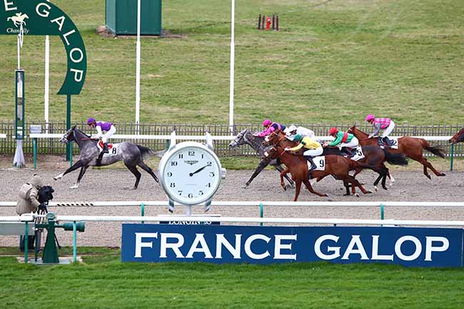 Photo d'arrivée de la course pmu PRIX DE LA ROUTE DES GRANDS CHENES à CHANTILLY le Mardi 11 février 2020