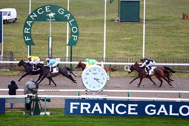 Photo d'arrivée de la course pmu PRIX DU CARREFOUR PAPILLON à CHANTILLY le Mardi 11 février 2020