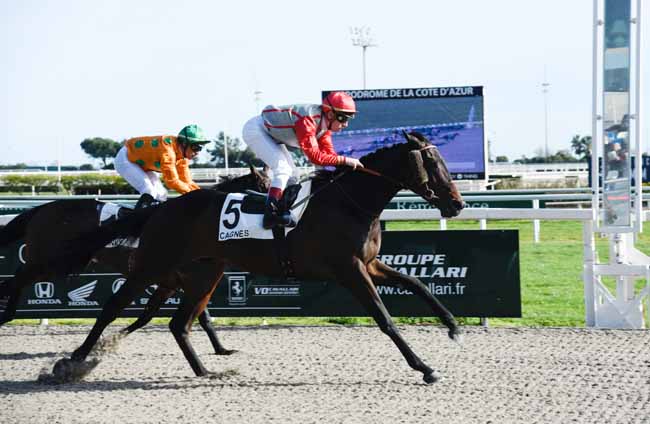 Photo d'arrivée de la course pmu PRIX DU QUEYRAS à CAGNES-SUR-MER le Mercredi 12 février 2020