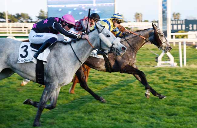 Photo d'arrivée de la course pmu PRIX LORD DU SUD à CAGNES-SUR-MER le Mercredi 12 février 2020