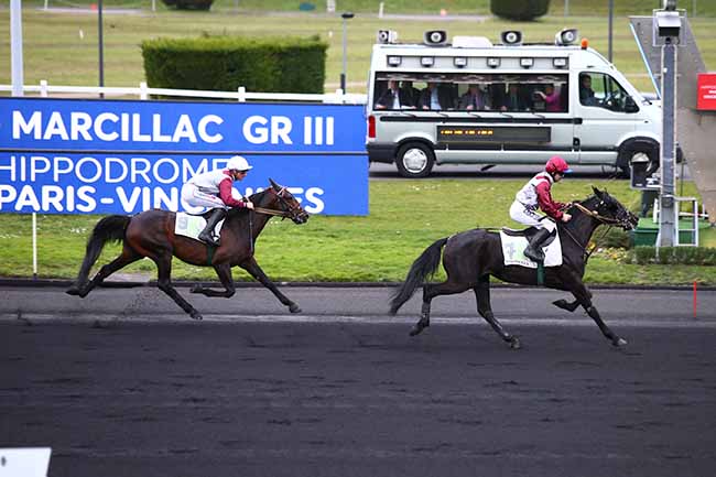 Photo d'arrivée de la course pmu PRIX EDOUARD MARCILLAC à PARIS-VINCENNES le Jeudi 13 février 2020