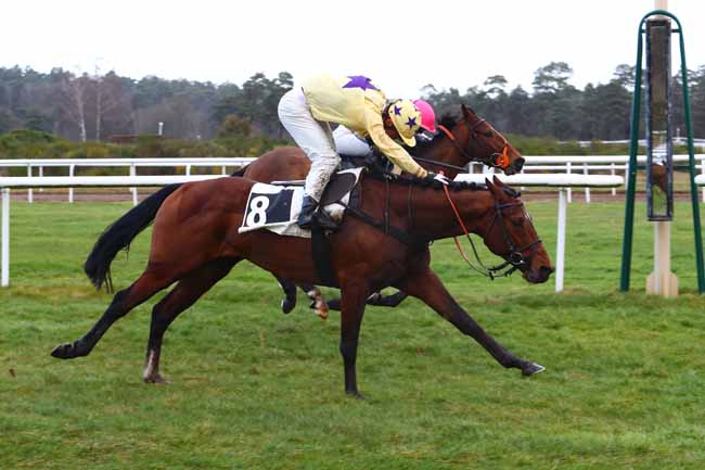 Photo d'arrivée de la course pmu PRIX LOPES COUVERTURE à FONTAINEBLEAU le Jeudi 13 février 2020