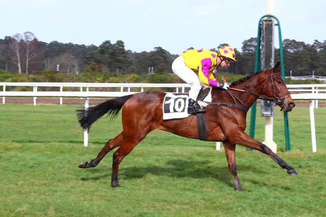 Photo d'arrivée de la course pmu PRIX DE LA SOCIETE DES COURSES DE PAU à FONTAINEBLEAU le Jeudi 13 février 2020