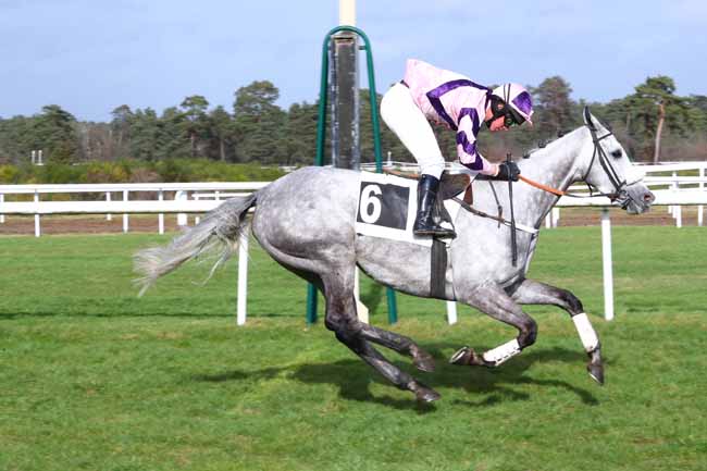 Photo d'arrivée de la course pmu PRIX DU CONSEIL MUNICIPAL DE CHAILLY-EN-BIERE à FONTAINEBLEAU le Jeudi 13 février 2020