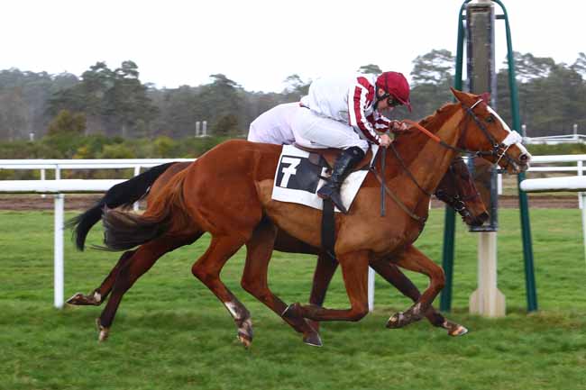 Photo d'arrivée de la course pmu PRIX ROTARY CLUB DE FONTAINEBLEAU à FONTAINEBLEAU le Jeudi 13 février 2020