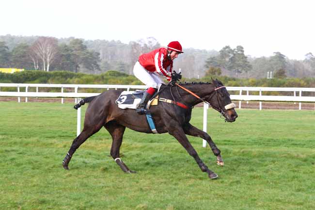 Photo d'arrivée de la course pmu PRIX DU CHATEAU DE FONTAINEBLEAU à FONTAINEBLEAU le Jeudi 13 février 2020