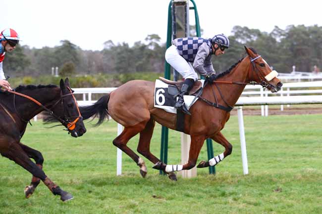 Photo d'arrivée de la course pmu PRIX DE L'IMPERATRICE EUGENIE à FONTAINEBLEAU le Jeudi 13 février 2020