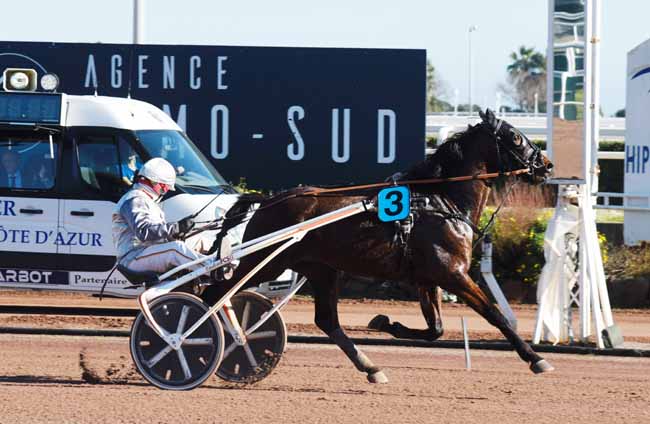 Photo d'arrivée de la course pmu PRIX DE MADRID à CAGNES-SUR-MER le Vendredi 14 février 2020