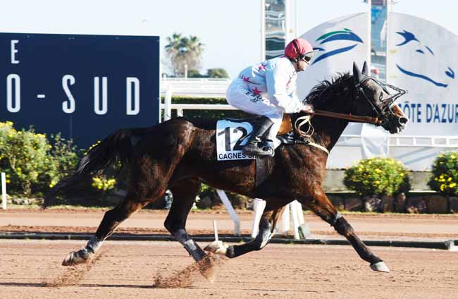 Photo d'arrivée de la course pmu PRIX SCARLET TURGOT à CAGNES-SUR-MER le Vendredi 14 février 2020