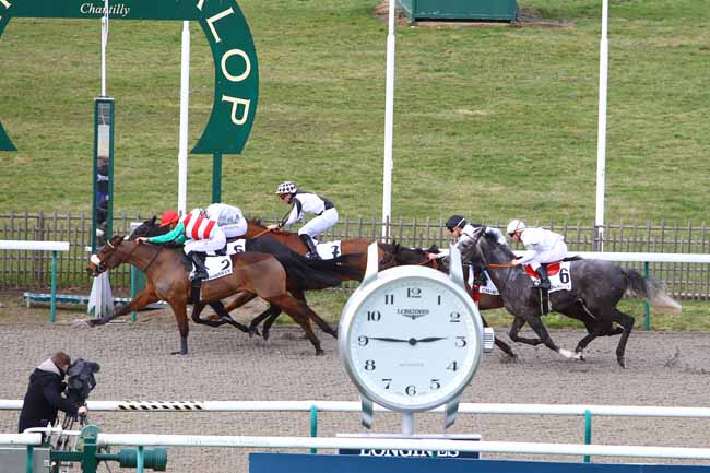 Photo d'arrivée de la course pmu PRIX DE CHAUVRY à CHANTILLY le Vendredi 14 février 2020