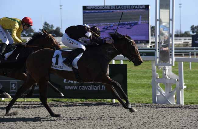 Photo d'arrivée de la course pmu PRIX DES BOUGAINVILLIERS à CAGNES-SUR-MER le Samedi 15 février 2020