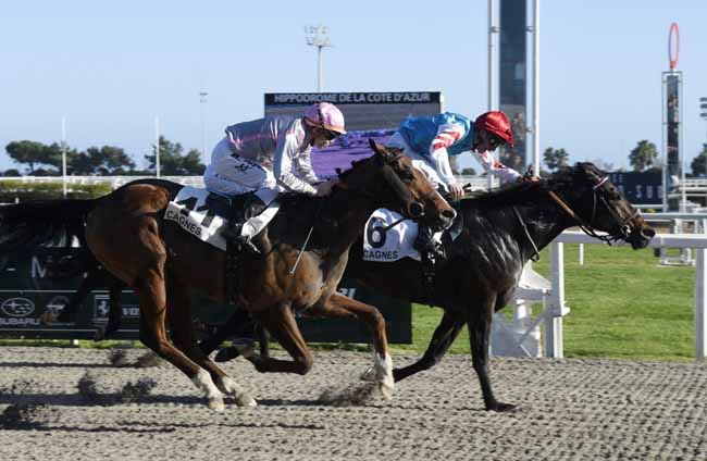 Photo d'arrivée de la course pmu PRIX DE SAINTE-MAXIME à CAGNES-SUR-MER le Samedi 15 février 2020