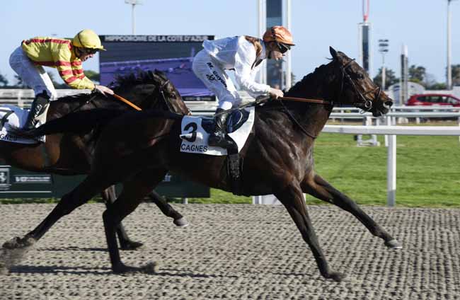 Photo d'arrivée de la course pmu PRIX SAONOIS à CAGNES-SUR-MER le Samedi 15 février 2020