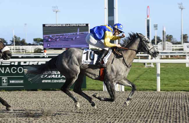 Photo d'arrivée de la course pmu PRIX DE SAINT-RAPHAEL à CAGNES-SUR-MER le Samedi 15 février 2020